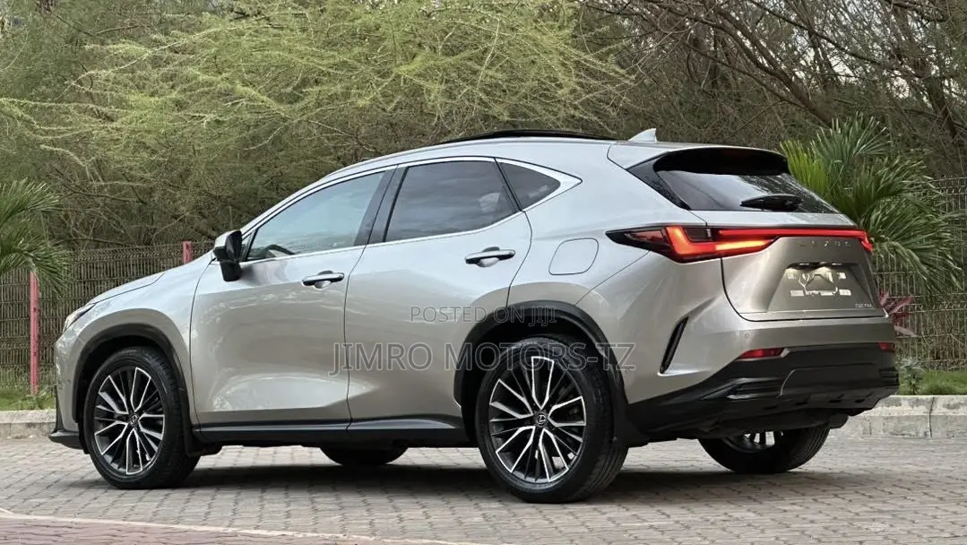 Lexus NX 2022 Gray