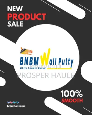 BNBM Wallputty