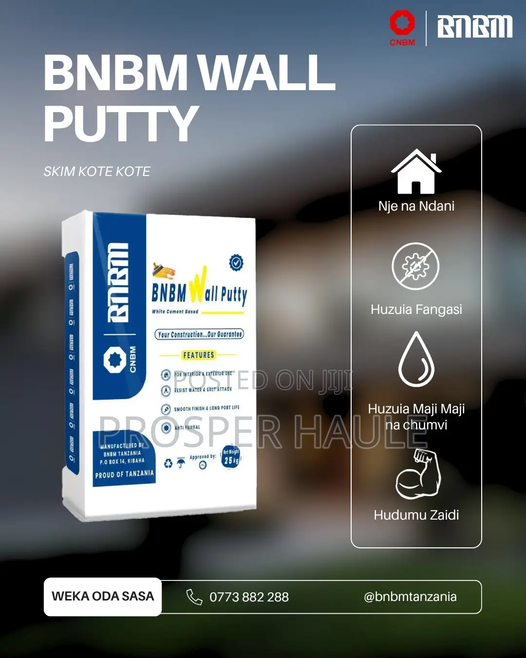 BNBM Wallputty