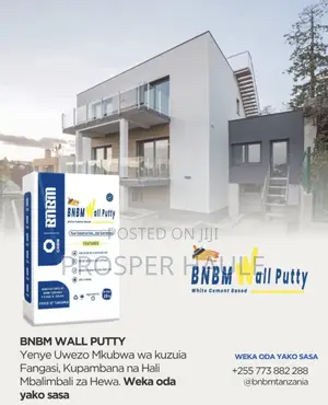 BNBM Wallputty