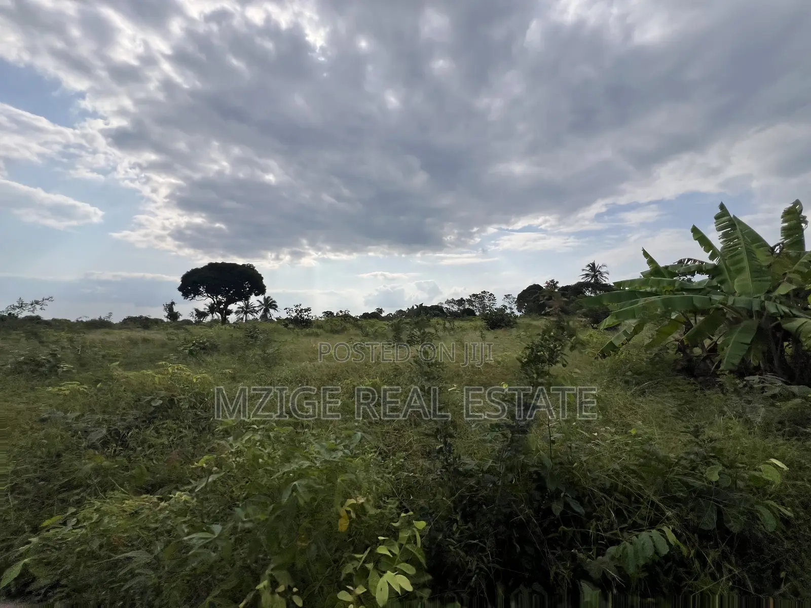 Premium Plot: 30 Acres in Kisarawe at an Unbeatable Price!