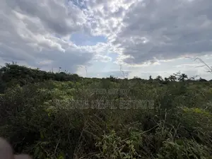 Premium Plot: 30 Acres in Kisarawe at an Unbeatable Price!