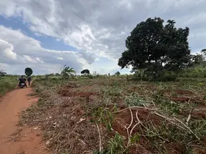 Premium Plot: 30 Acres in Kisarawe at an Unbeatable Price!