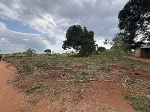 Premium Plot: 30 Acres in Kisarawe at an Unbeatable Price!