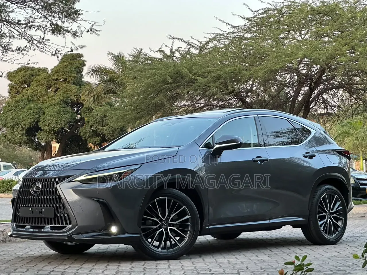Lexus NX 2022