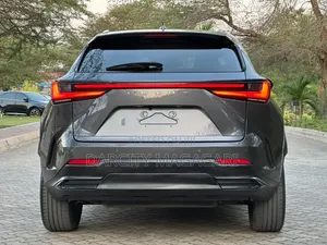 Lexus NX 2022