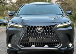 Lexus NX 2022