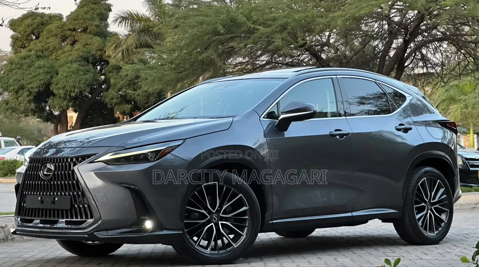 Lexus NX 2022