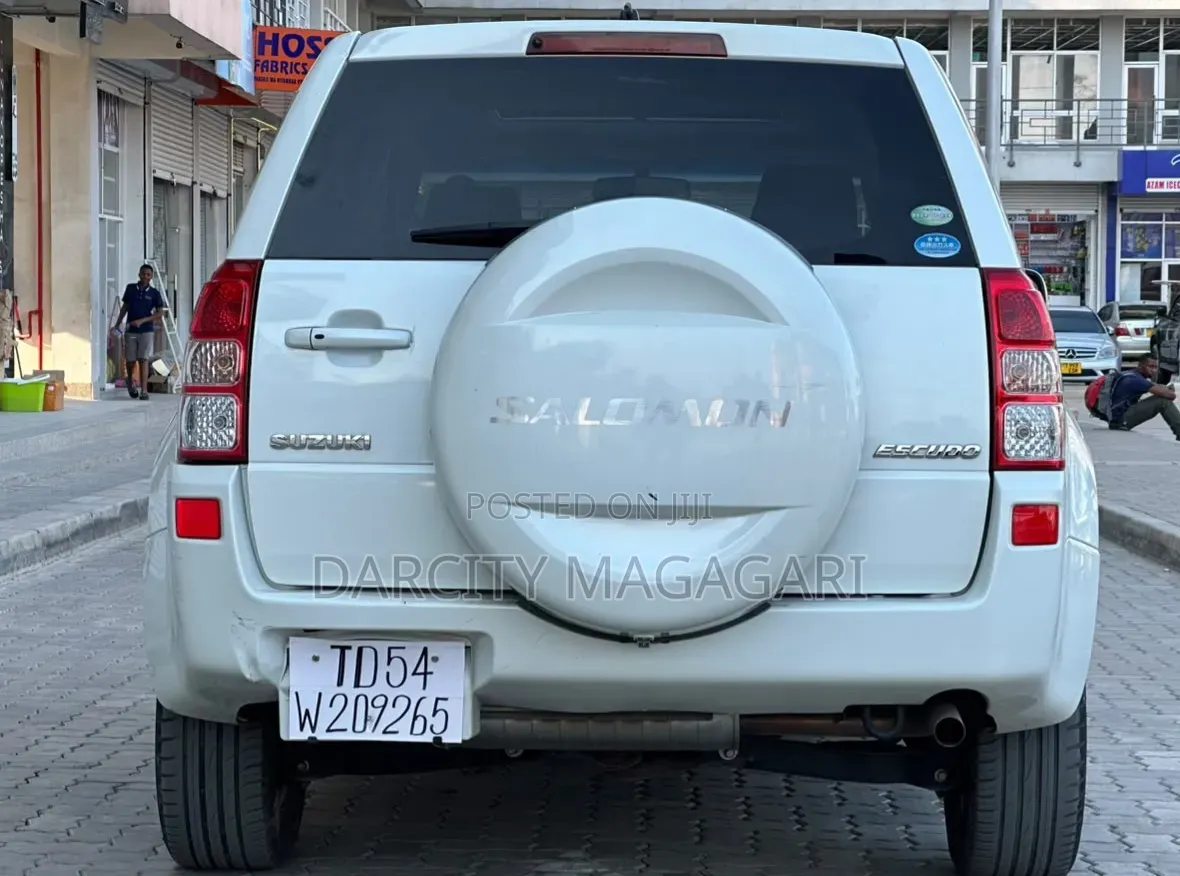 Suzuki Escudo 2008 White