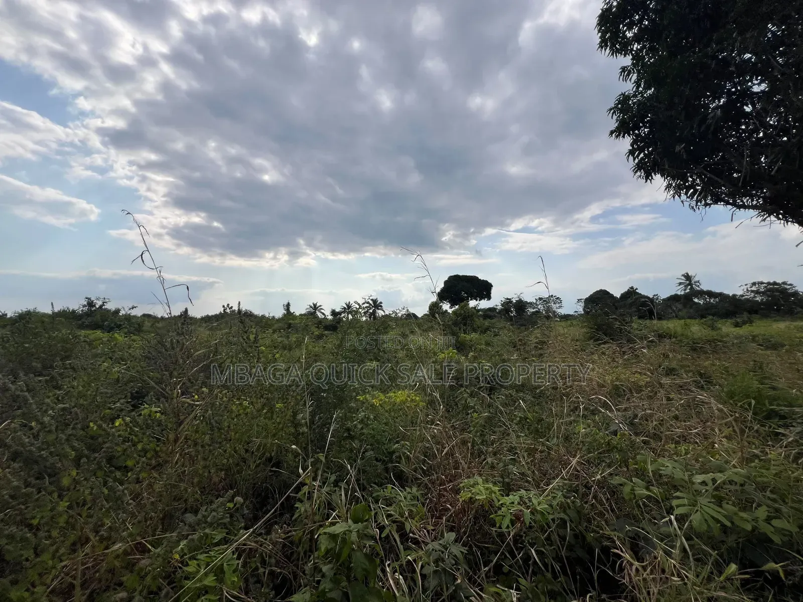 Plot for Sale at Kisarawe 30 Acres