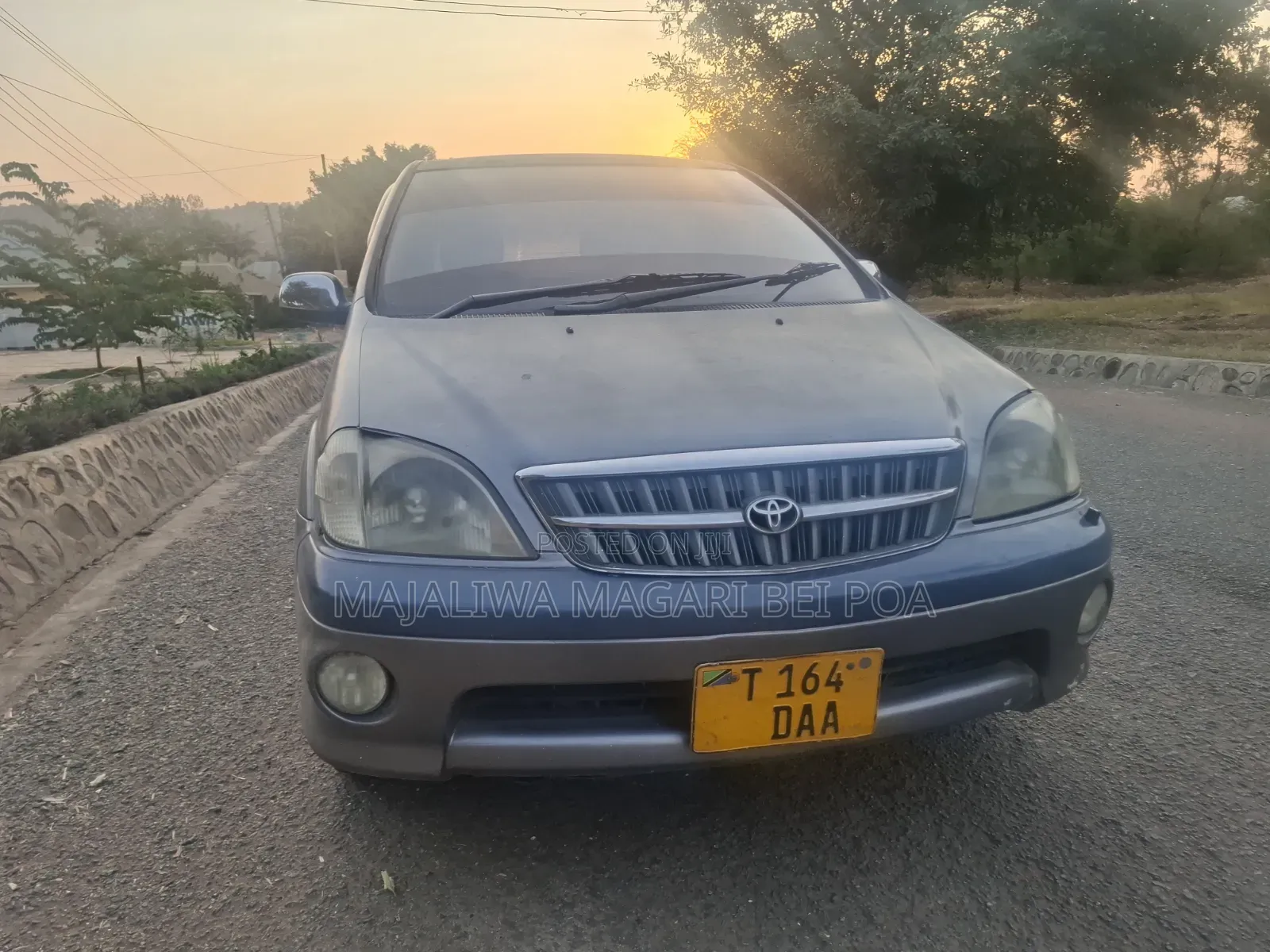 Toyota Nadia 2001 Gray