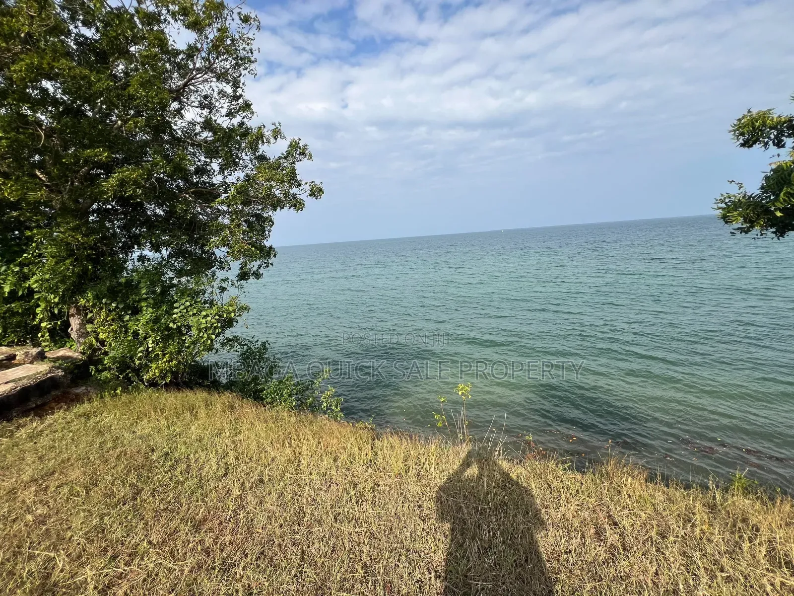 BIG Plot With 8.5 Acres for Sale Located in Mwambani Tanga