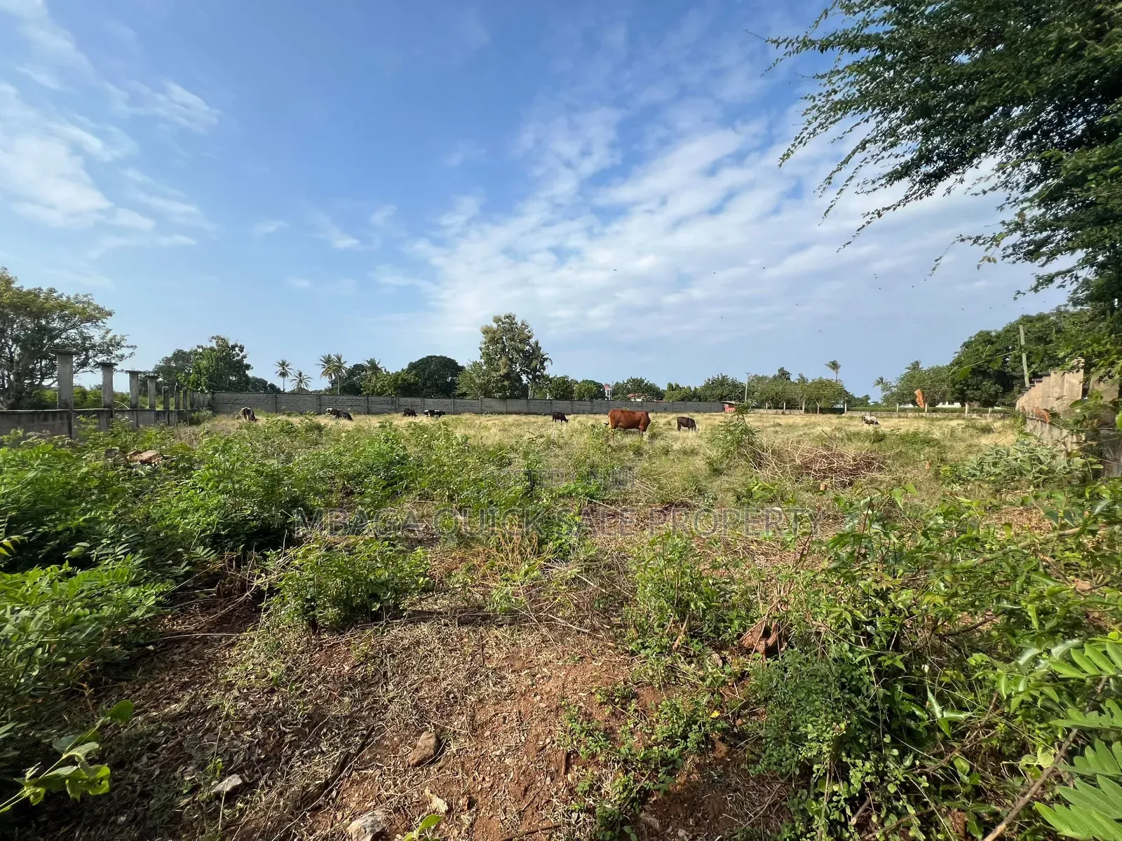 BIG Plot With 8.5 Acres for Sale Located in Mwambani Tanga