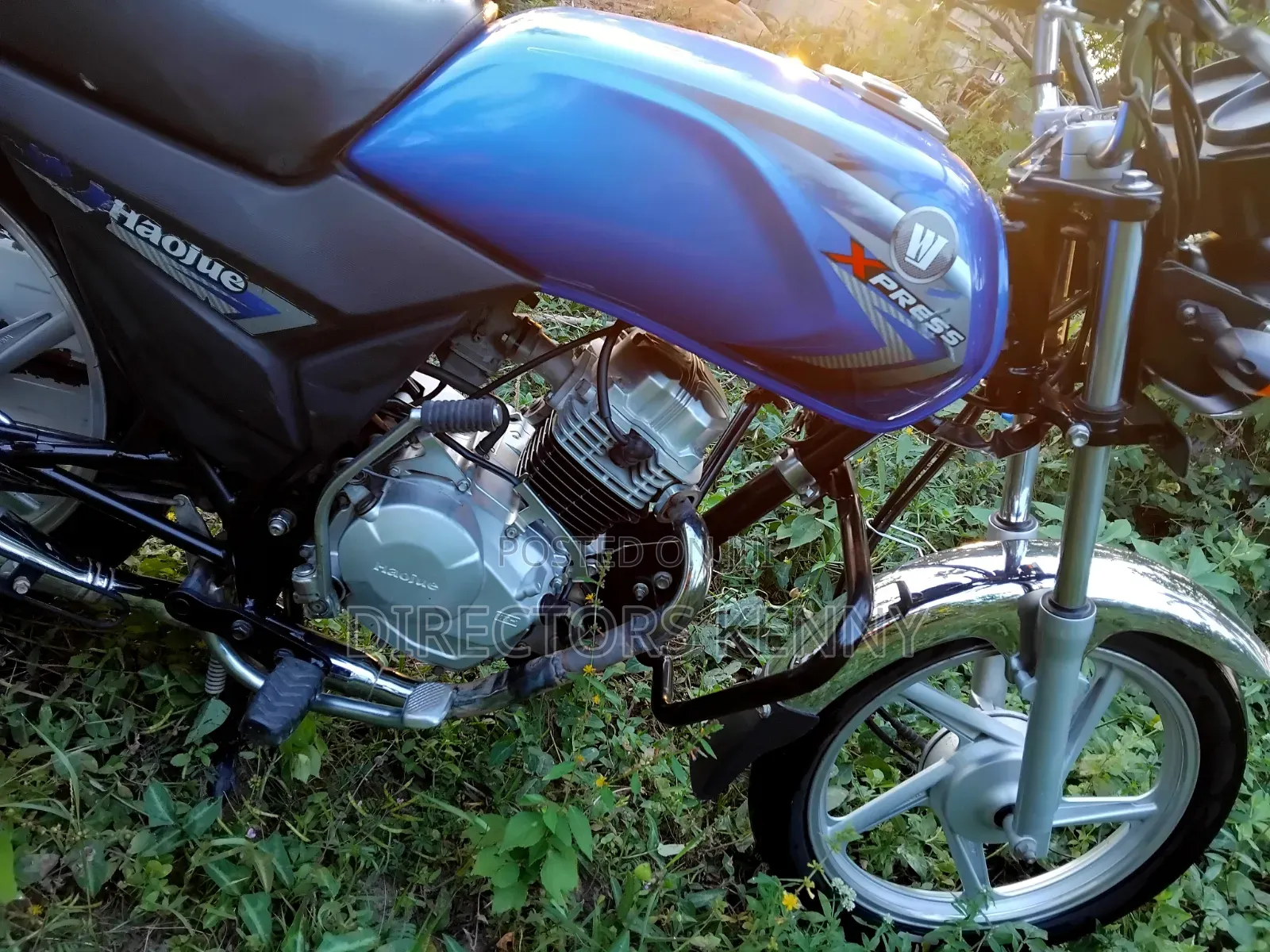 Motorcycle 2026 Blue
