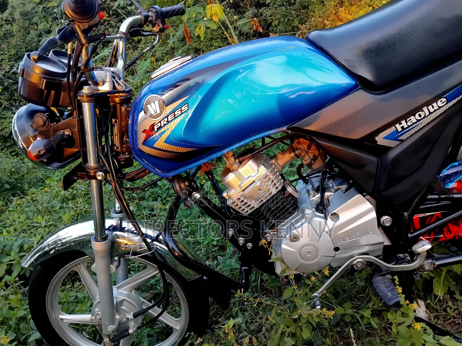 Motorcycle 2026 Blue