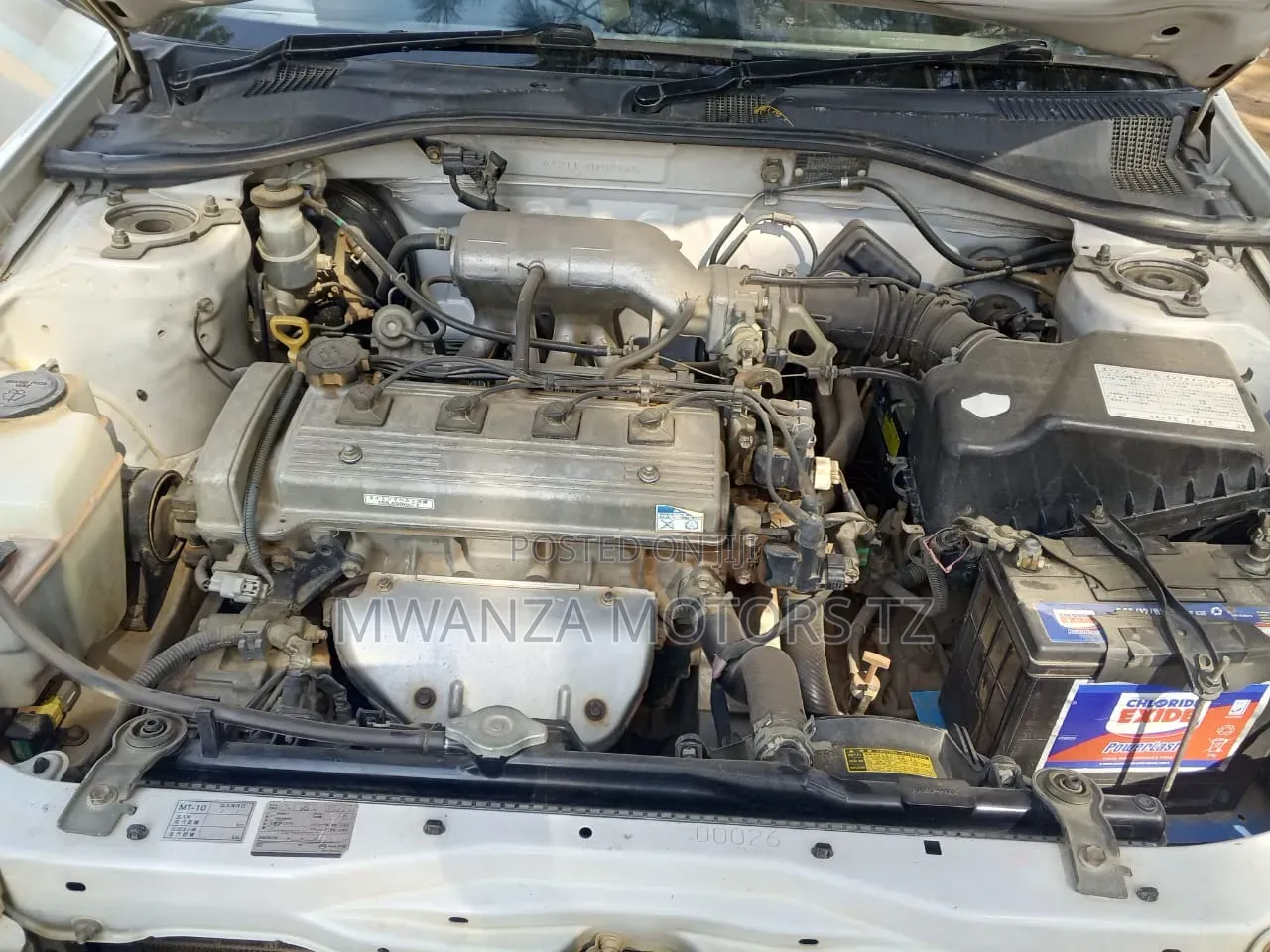 Toyota Corona Premio 1999 White