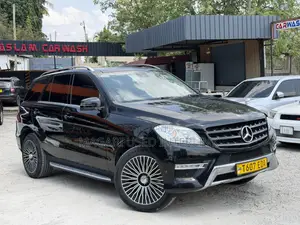 Mercedes-Benz M Class 2014 Black