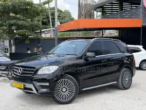 Mercedes-Benz M Class 2014 Black