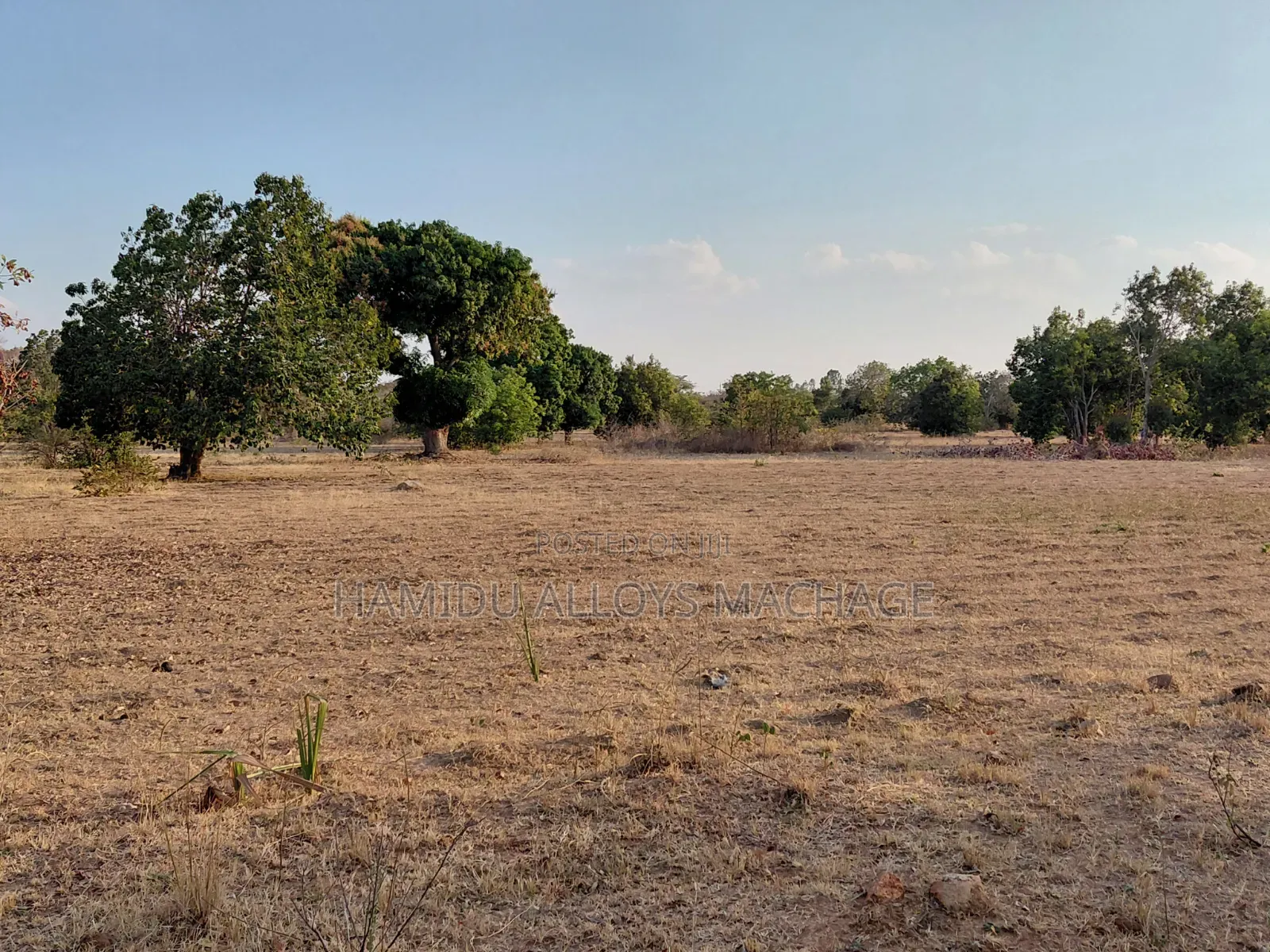 Shamba Ekari 17