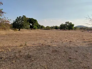 Shamba Ekari 17