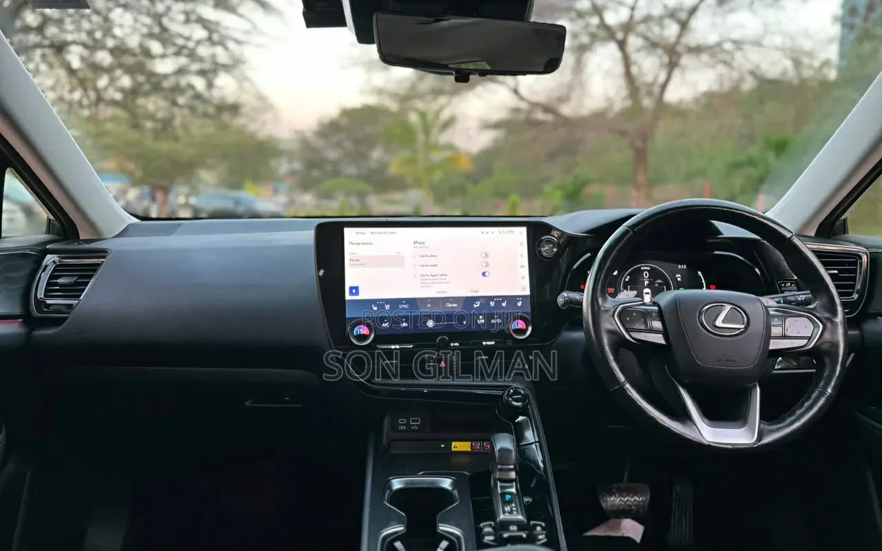 Lexus NX 2022 Gray