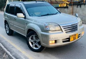 Nissan X-Trail 2005 Silver