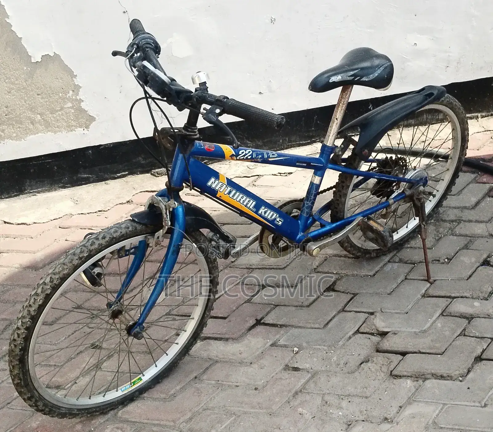 Mountain Bike