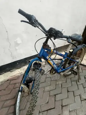 Mountain Bike