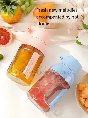 Ton Ton 1500ml Portable Electric Juicer Cup – Rechargeable
