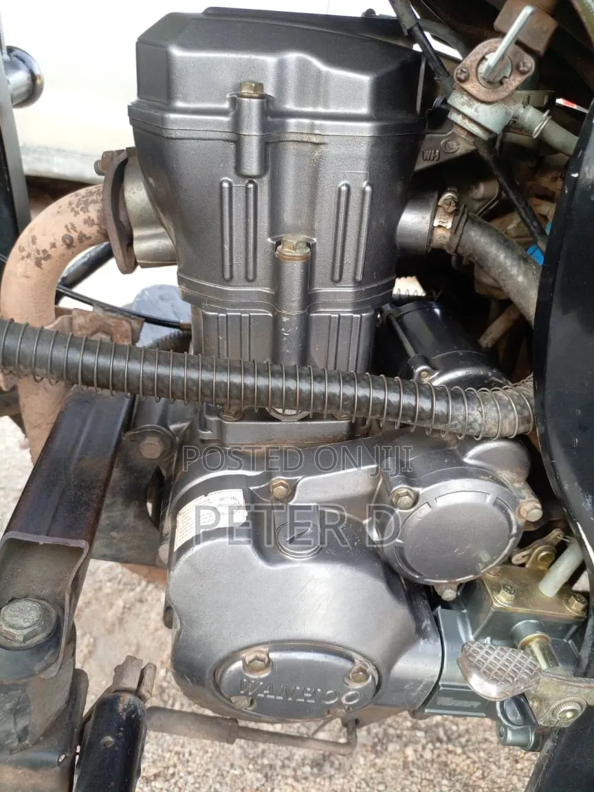 Bajaj Avenger 200 2025 Green