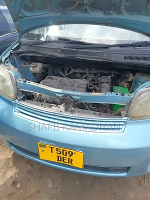 Toyota Porte 2010 Blue