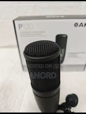 AKG P120 Professional Condenser Studio Microphone for Recording