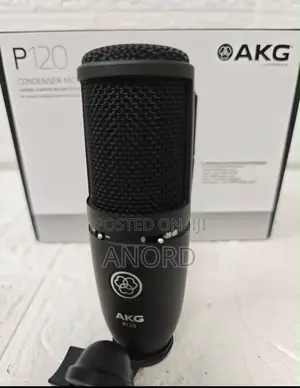 AKG P120 Professional Condenser Studio Microphone for Recording