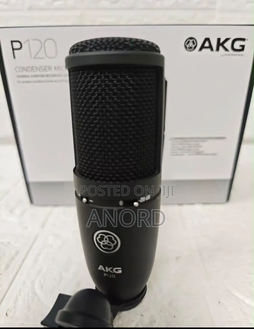 AKG P120 Professional Condenser Studio Microphone for Recording