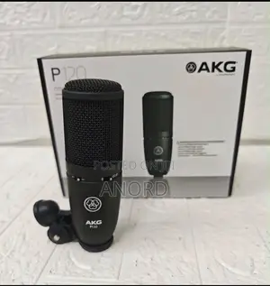 AKG P120 Professional Condenser Studio Microphone for Recording