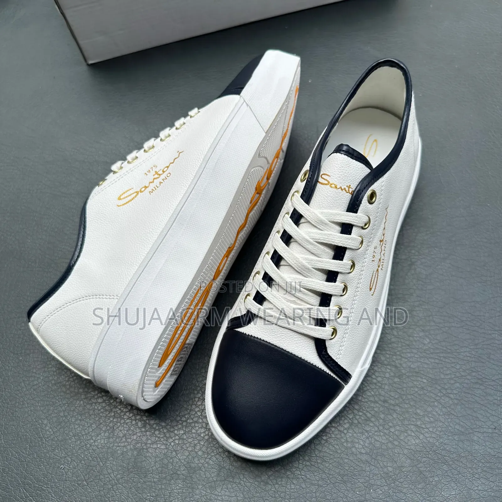 Santoni Raba