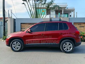 Volkswagen Tiguan 2016 Burgundy