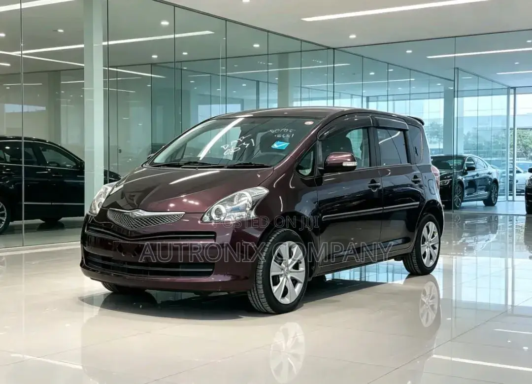 Toyota Ractis 2010 Maroon