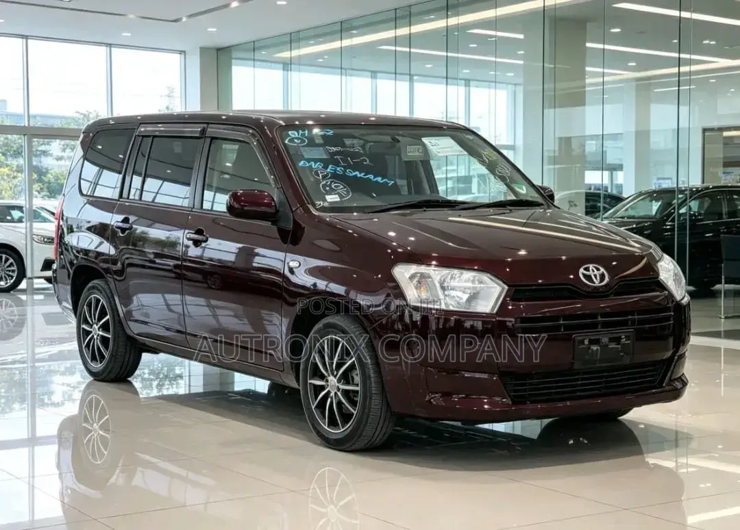 Toyota Probox 2015 Maroon