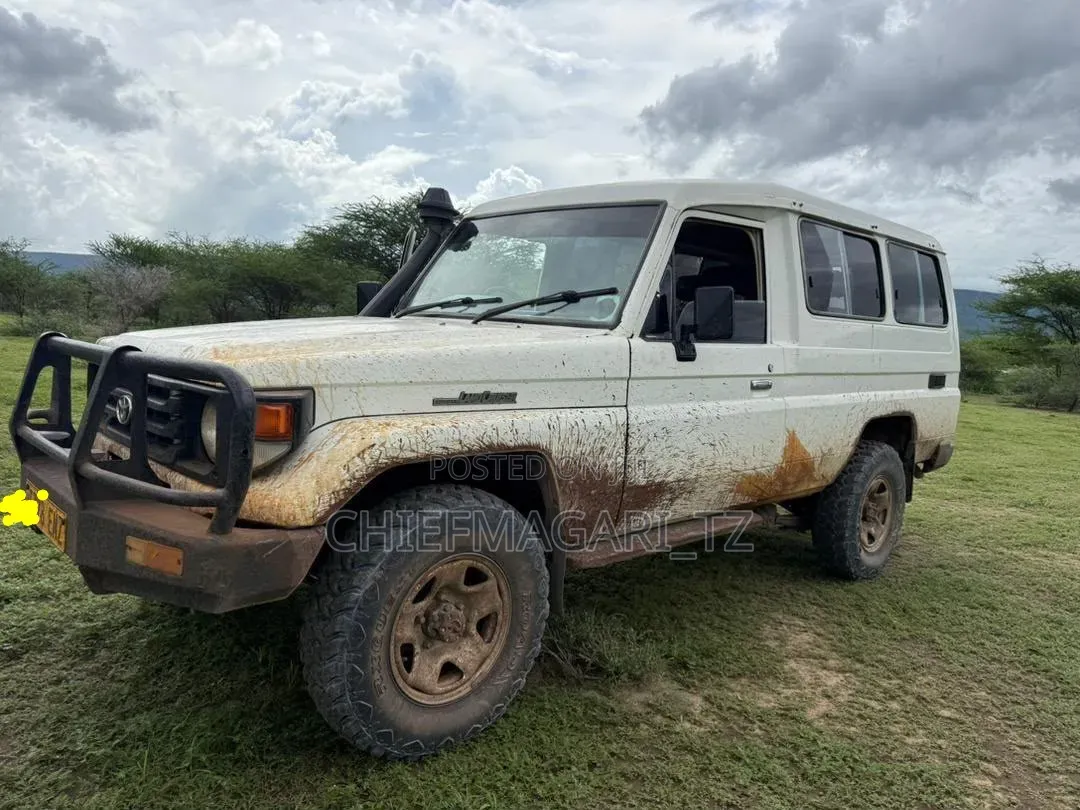 Toyota Land Cruiser 2002 Pearl