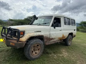 Toyota Land Cruiser 2002 Pearl