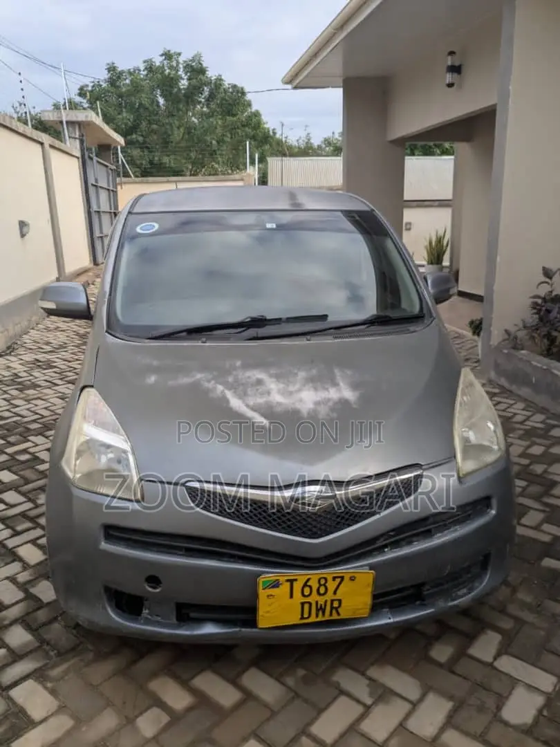 Toyota Ractis 2007 Gray