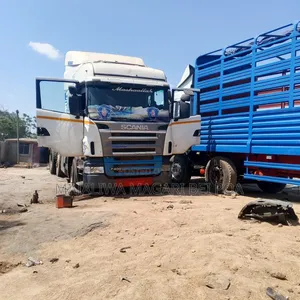 Scania Horse 2002 White