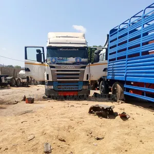 Scania Horse 2002 White