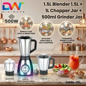 Digiwave Blender 3in1 Stainless Steel