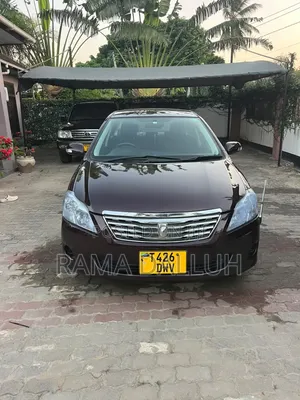 Toyota Premio 2009 Maroon