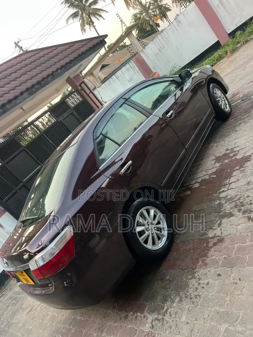 Toyota Premio 2009 Maroon