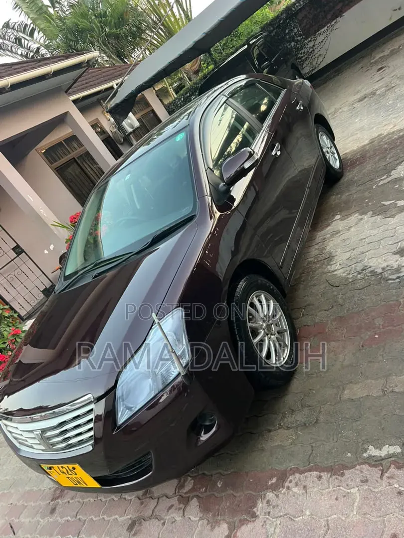 Toyota Premio 2009 Maroon