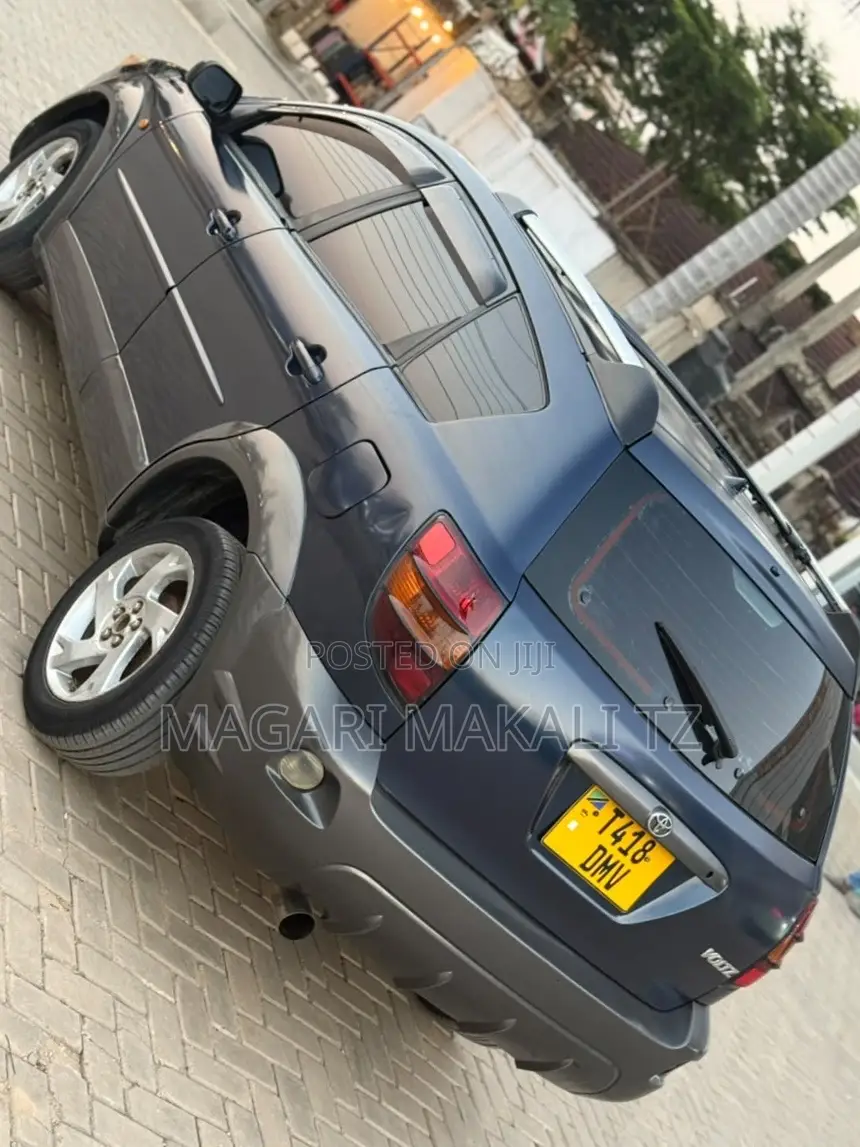 Toyota Voltz 2007 Blue