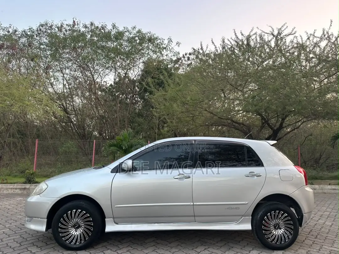 Toyota Allex 2003 Silver